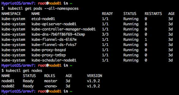 Install kubernetes v1.9.2 on Rasberry Pi